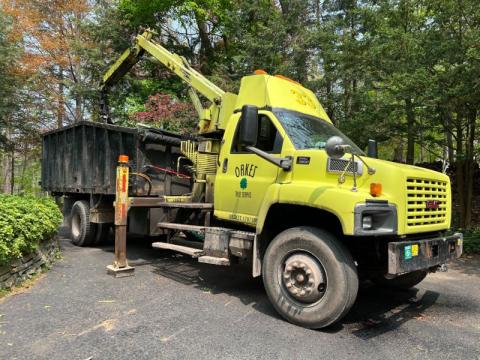 Tree service work