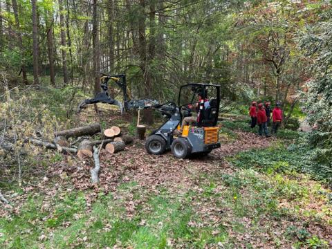 oakes tree service removing tree trunks