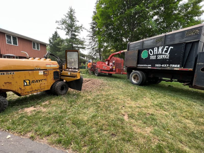 tree service equipment and truck on grass