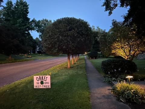 quiet suburban street at dusk with oakes tree service sign on lawn