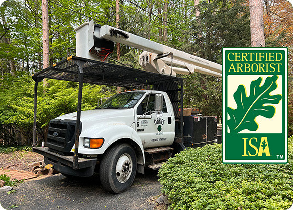White arborist truck with a bucket lift parked beside trees; Certified Arborist ISA logo shown.