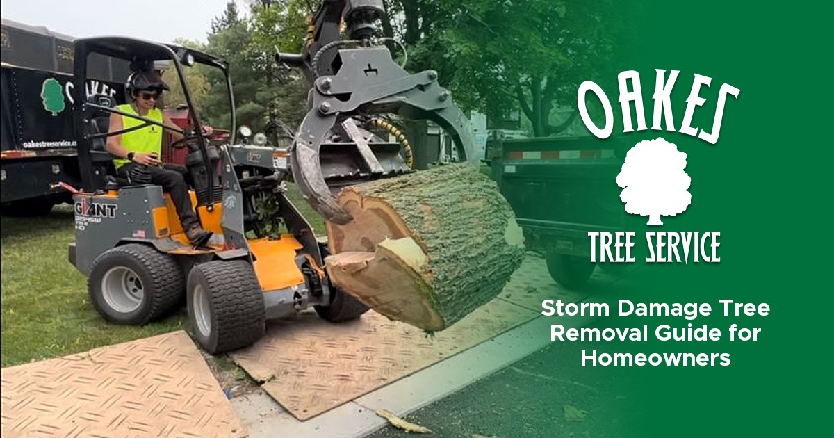 Worker uses heavy machinery to lift a large tree log; Oakes Tree Service logo and guide text.