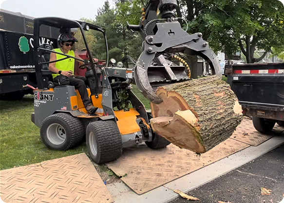 A worker uses heavy machinery to lift a large log into a nearby truck on a lawn.