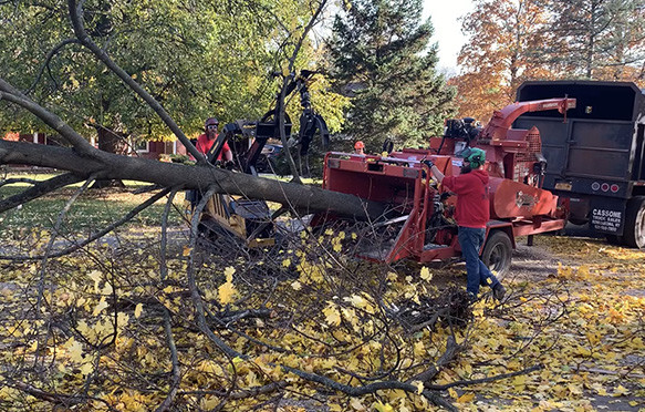 oakes tree service wood chipper