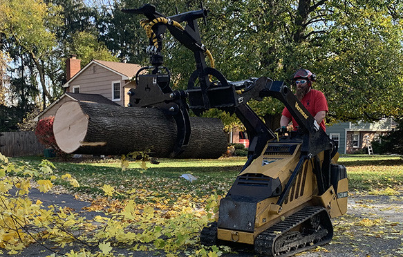 oakes tree service moving tree trunk