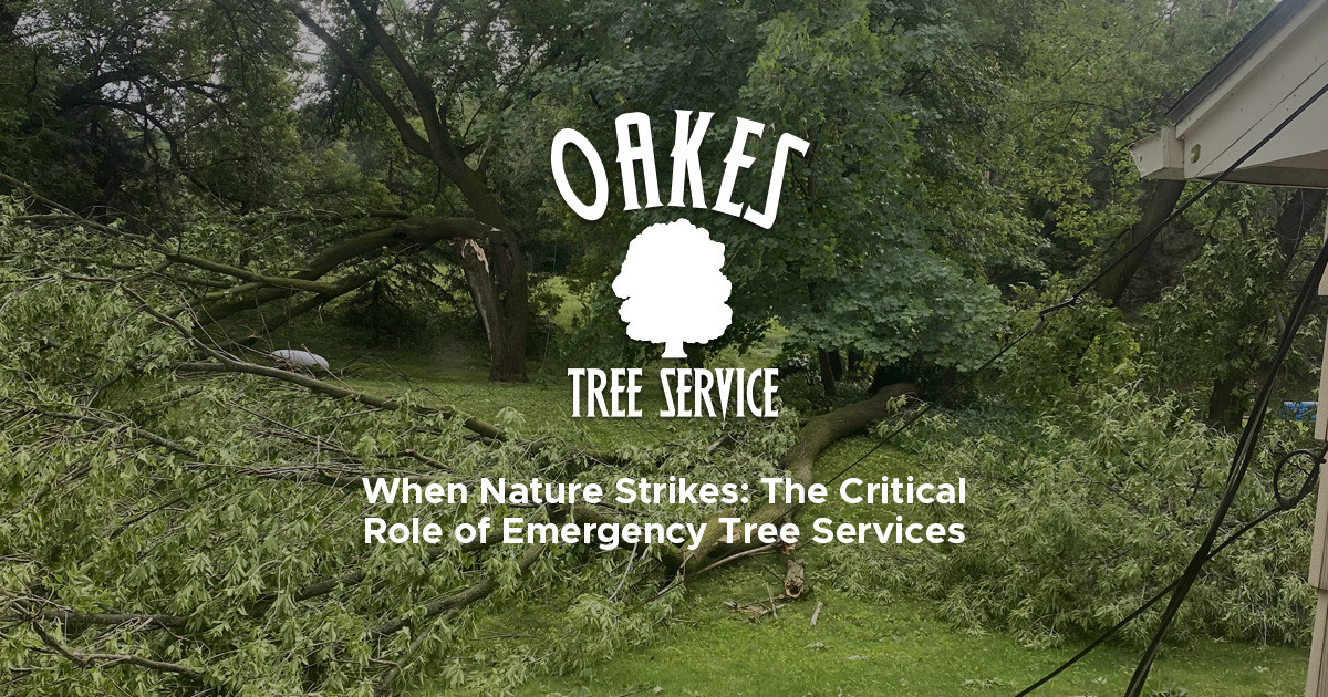 When Nature Strikes: The Critical Role of Emergency Tree Services
