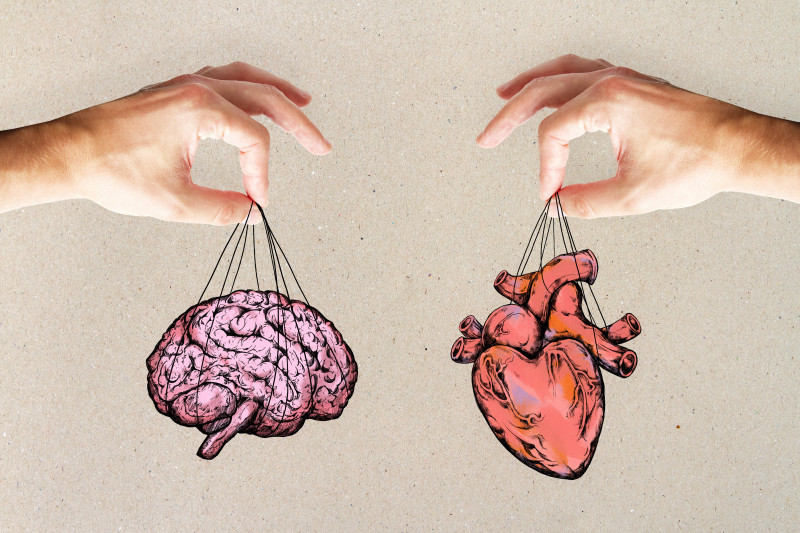 Mental Fitness