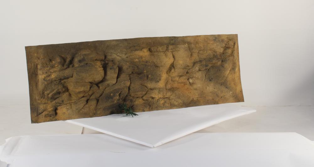 72" x 24" OLGAS