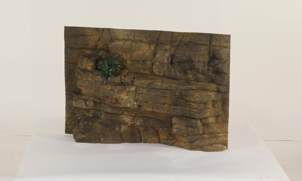 36" x 24" Exo-Terra