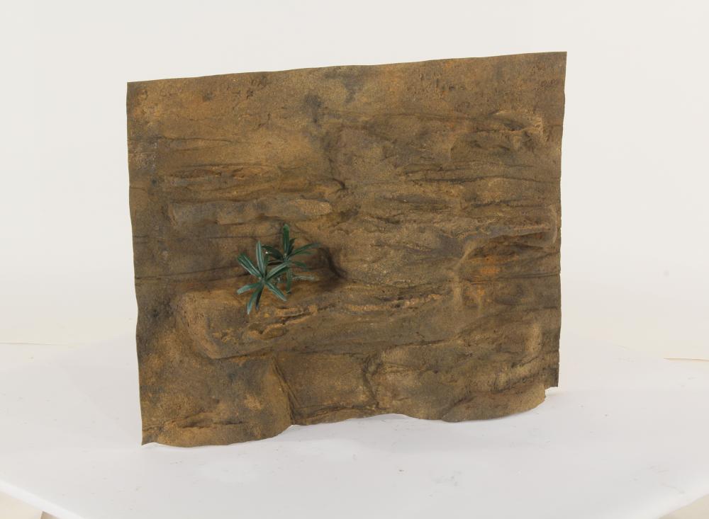 30" x 24" Ledge
