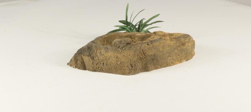 Rock Bowl - 003