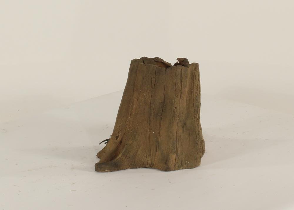 Cypress Stump - 001