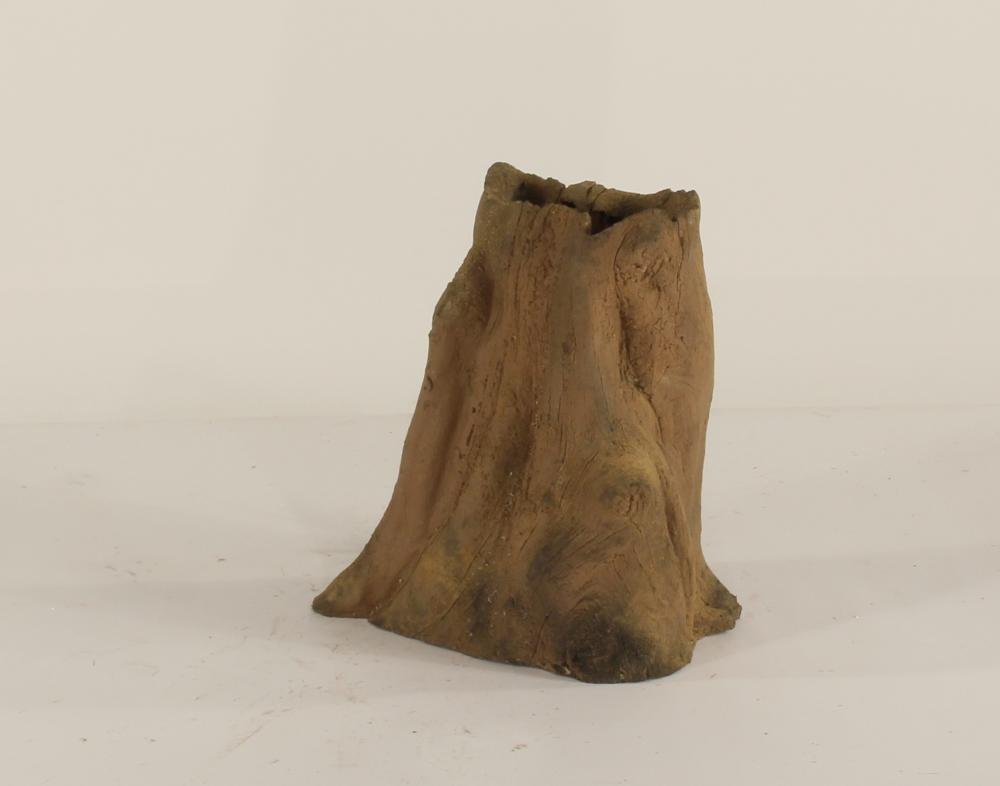 Cypress Stump - 002