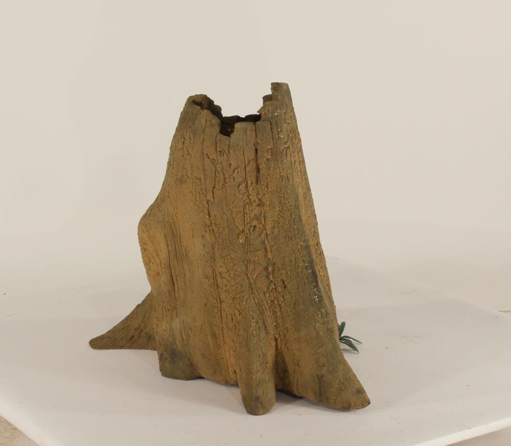 Cypress Stump - 004