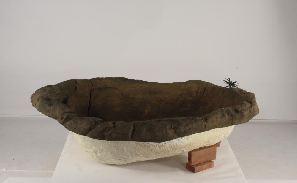 Medium Rock Pond-006