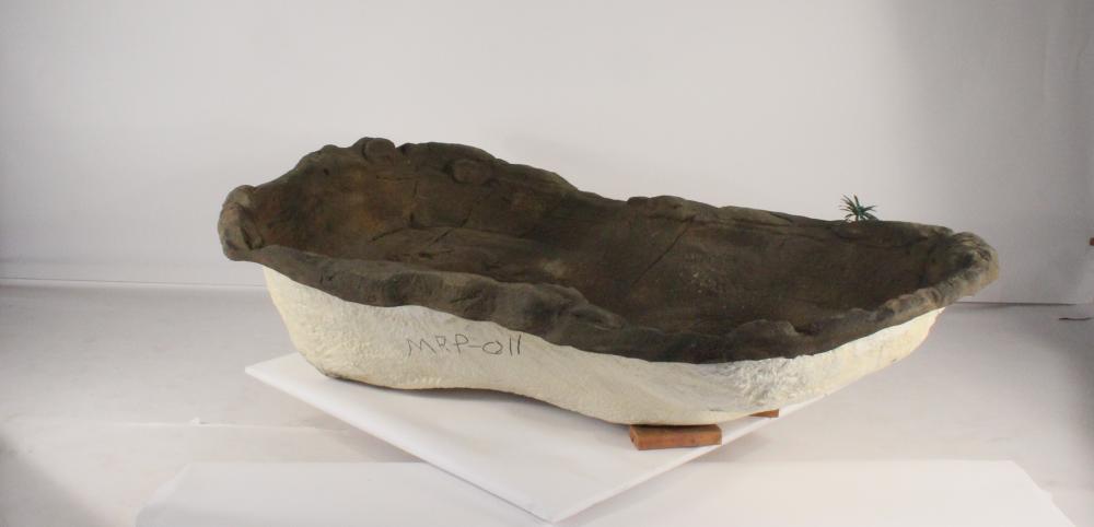 Medium Rock Pond-011