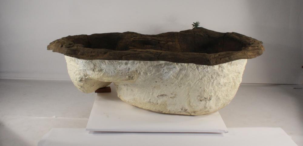 Medium Rock Pond-016