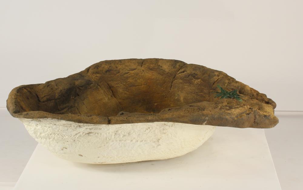 Small Rock Pond-013 (spillway)