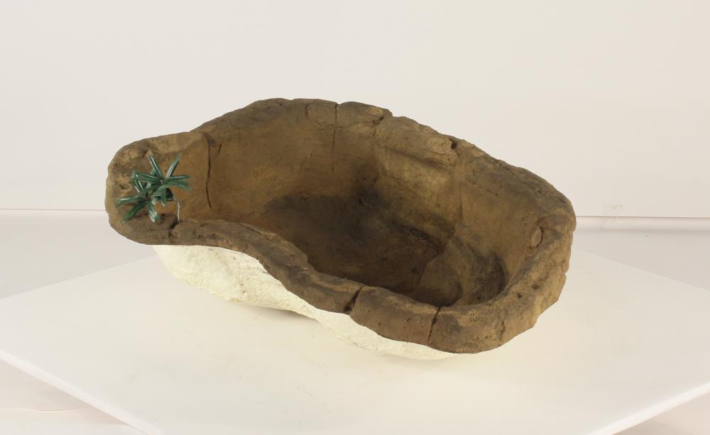 Small Rock Pond-015 (spillway)