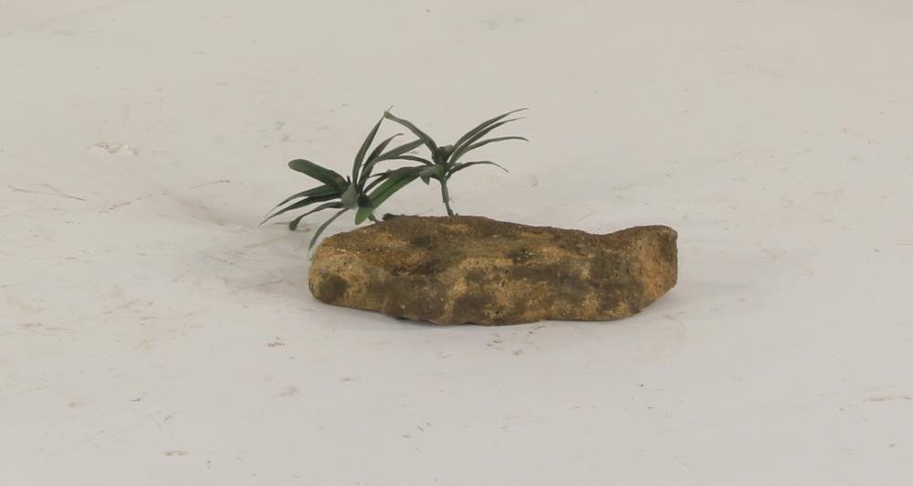 Dispersion Rock - 002