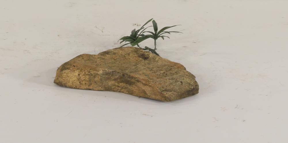 Dispersion Rock - 003