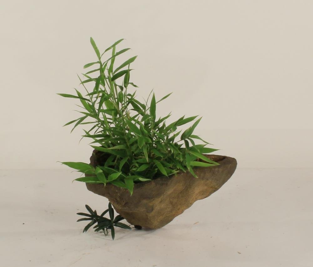 Wall Planter-002