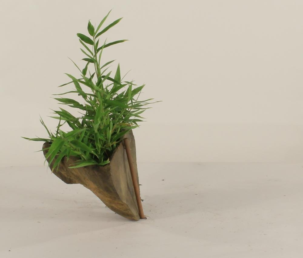 Wall Planter-002
