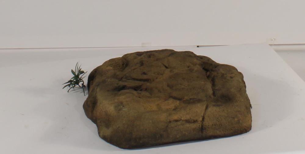 Skimmer Lid - SL-001