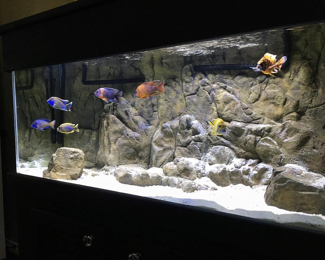 48" x 24" Kiama with base