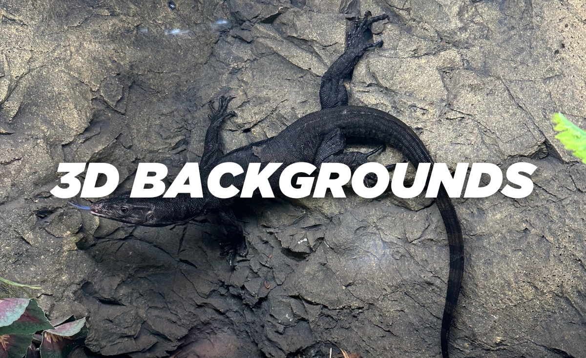 3D Backgrounds for reptile enclosures