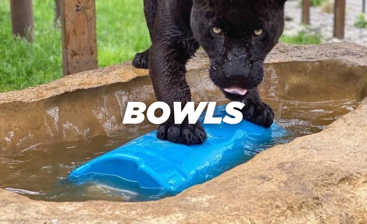 Large Zoo Animal Bowls for food and water