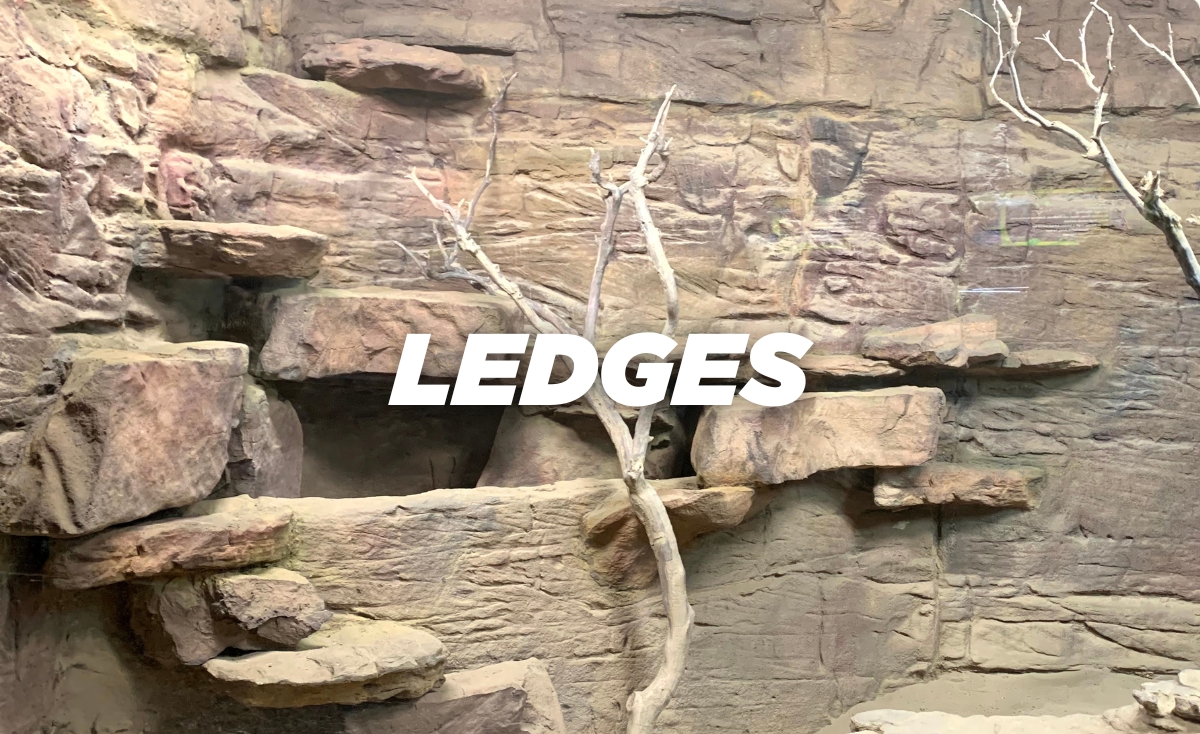 Zoo animal ledges for large reptile enclosures