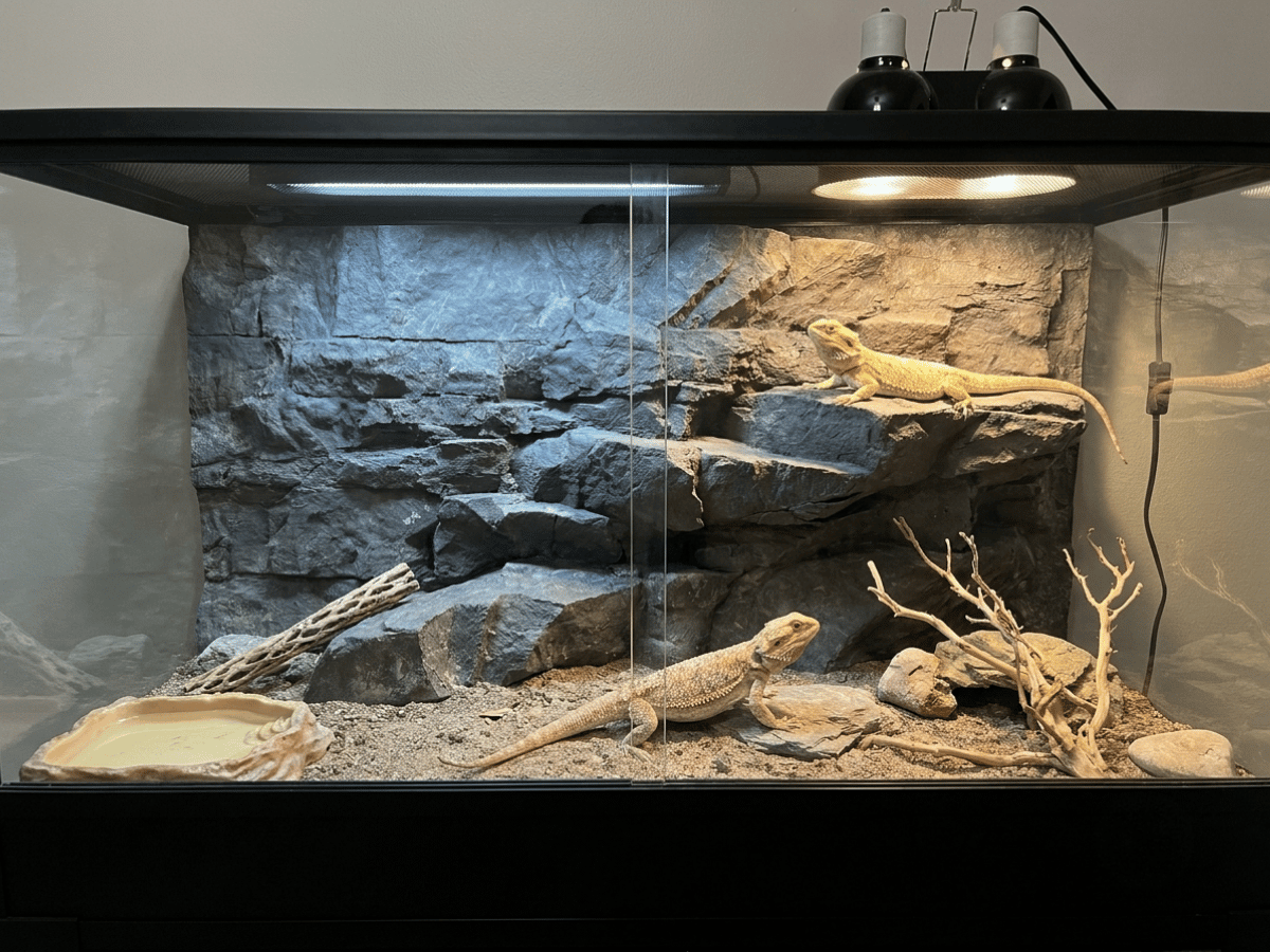 48" x 24" Cliff