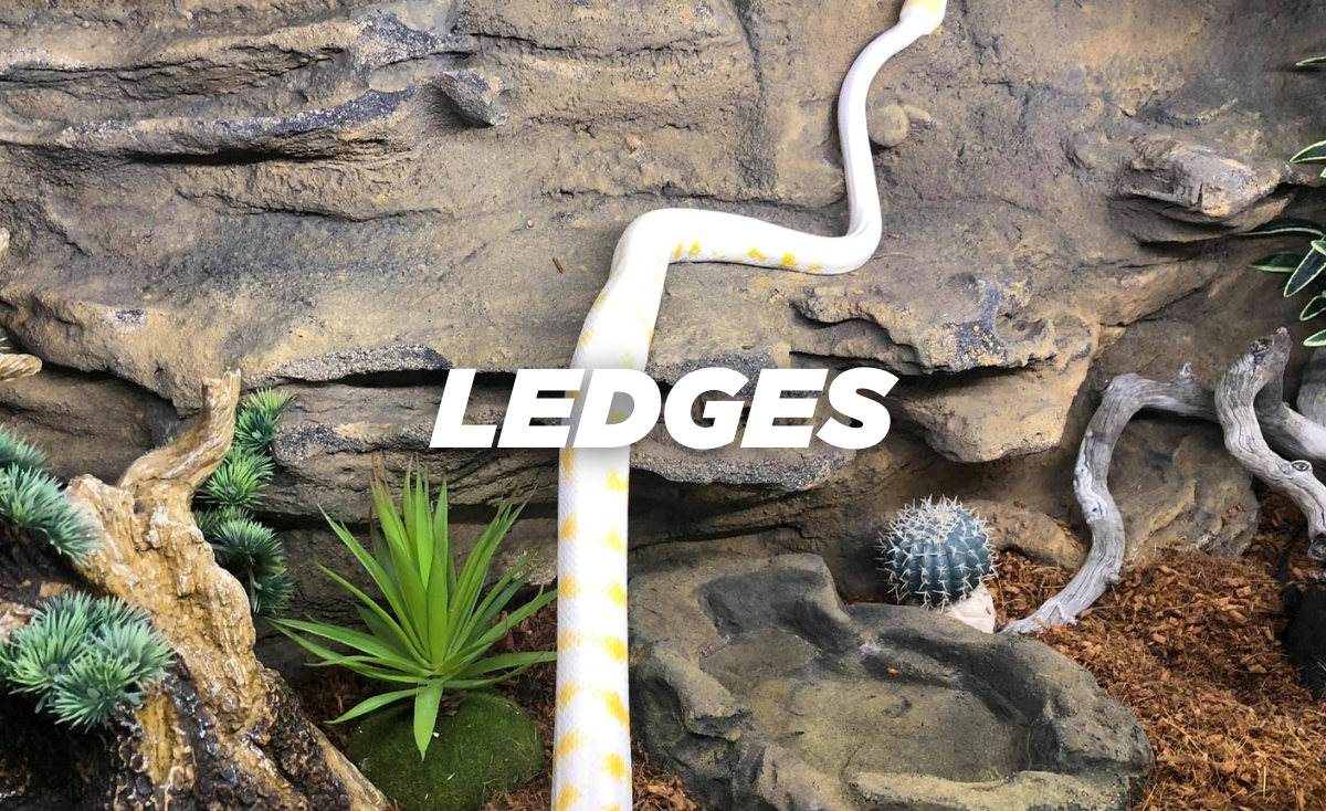 Reptile enclosure ledges for basking and climbing