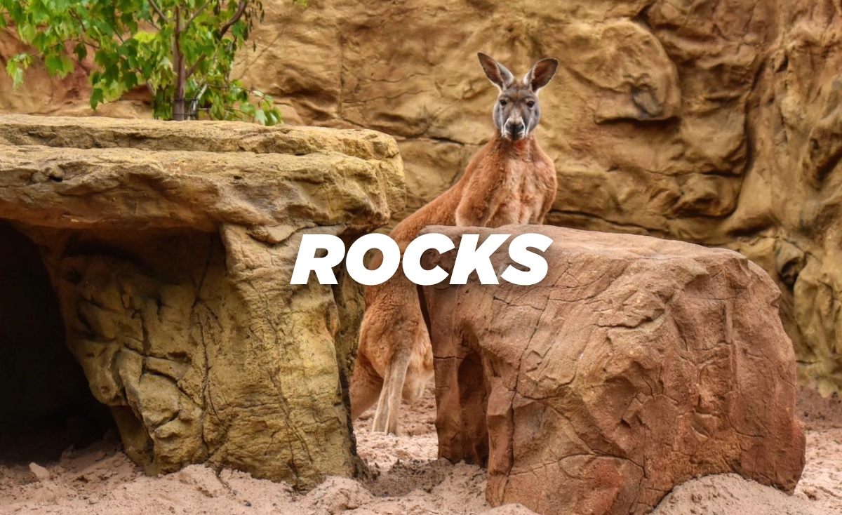 Zoo animal ecnclosure large rocks for decoration and climbing on