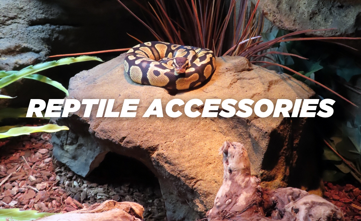 Reptile enclosure accessories and products