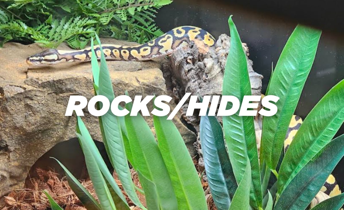 Reptile enclosure hide rocks and decor