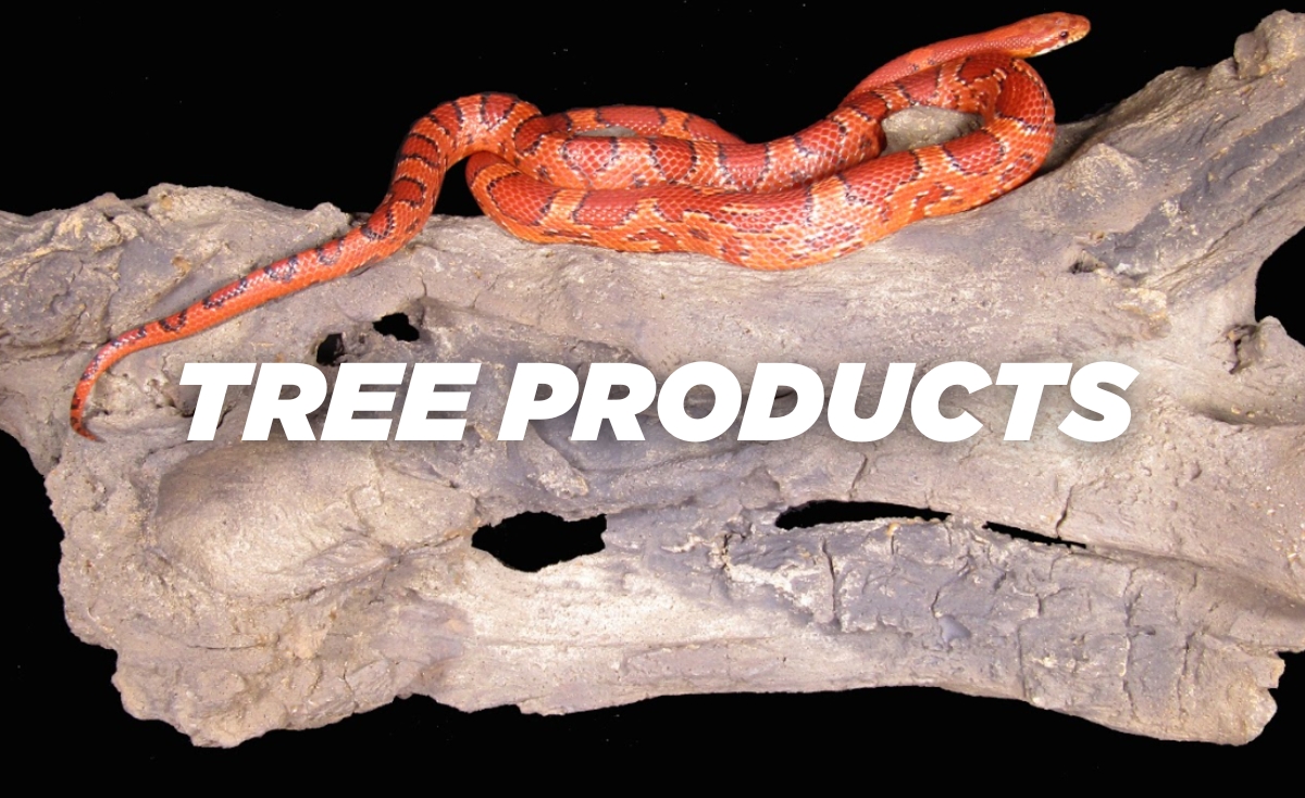 Reptile tree decor products
