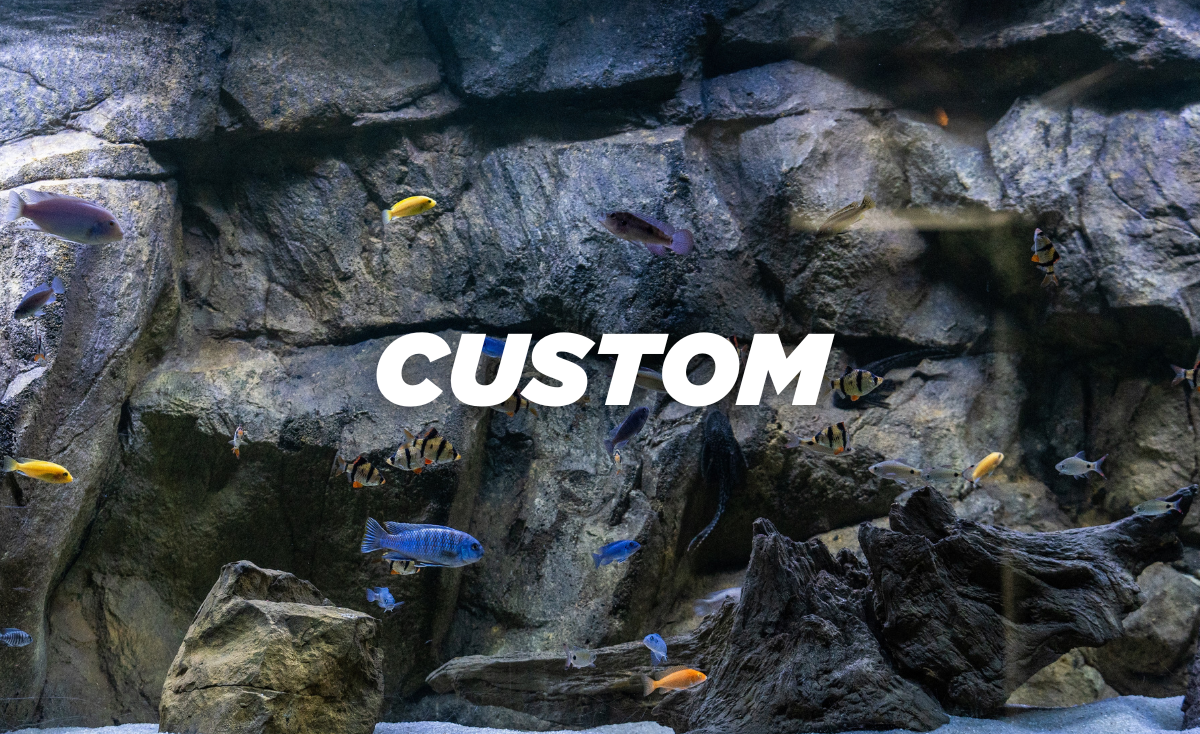 Custom size 3D backgrounds for fish