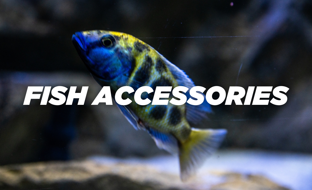 Fish tank accessories and products