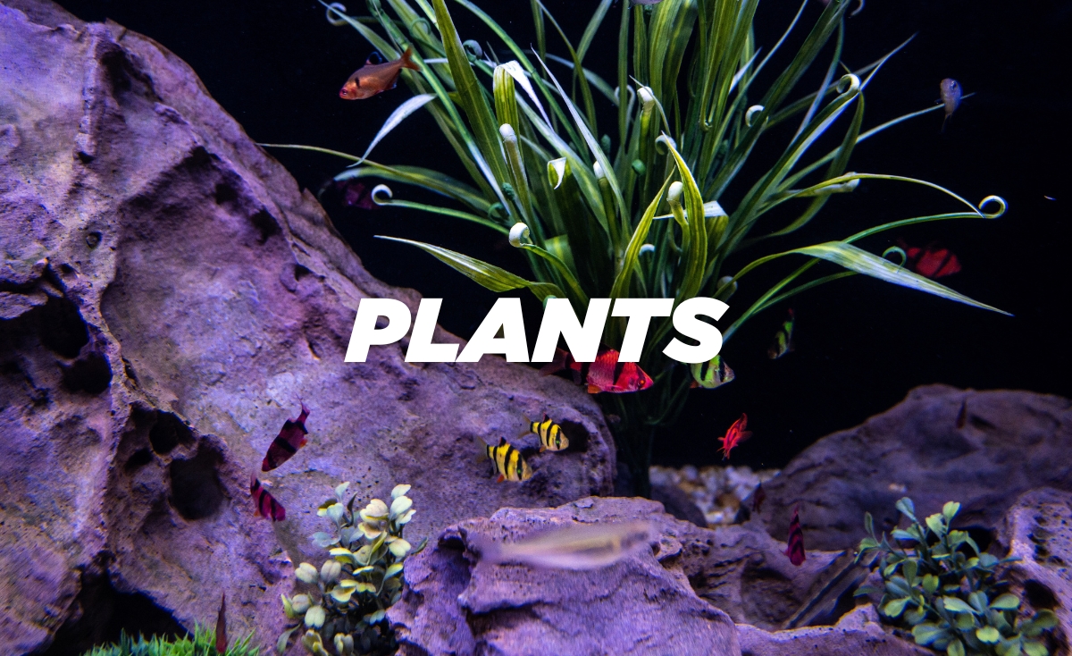 artificial plants for fish aquariums