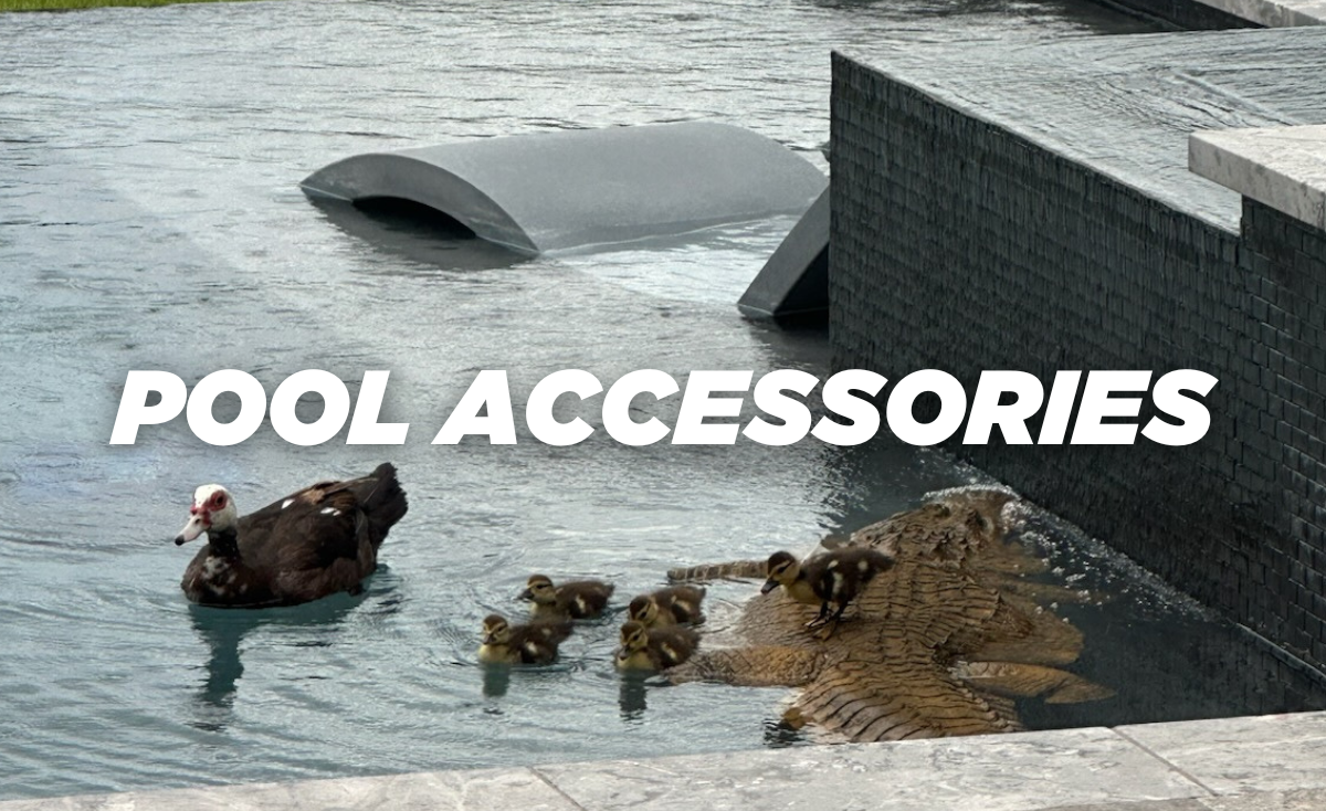 Swimming Pool Accessories and products