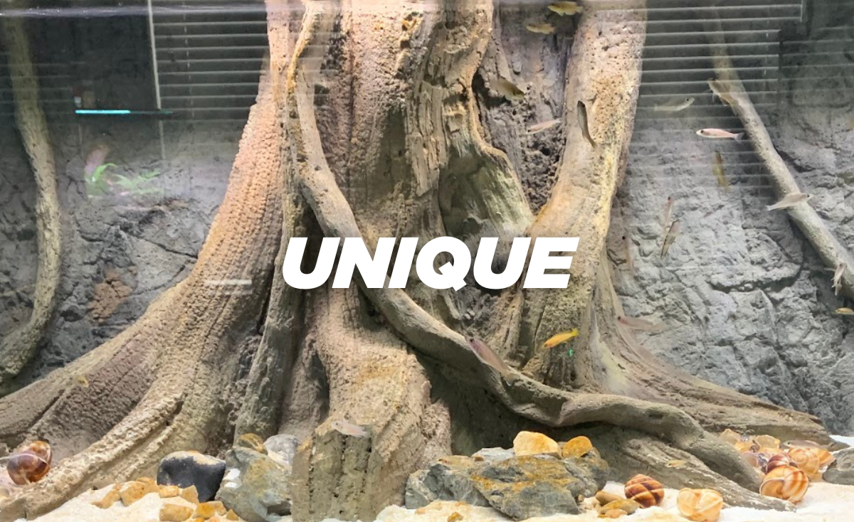 Unique 3D background for fish