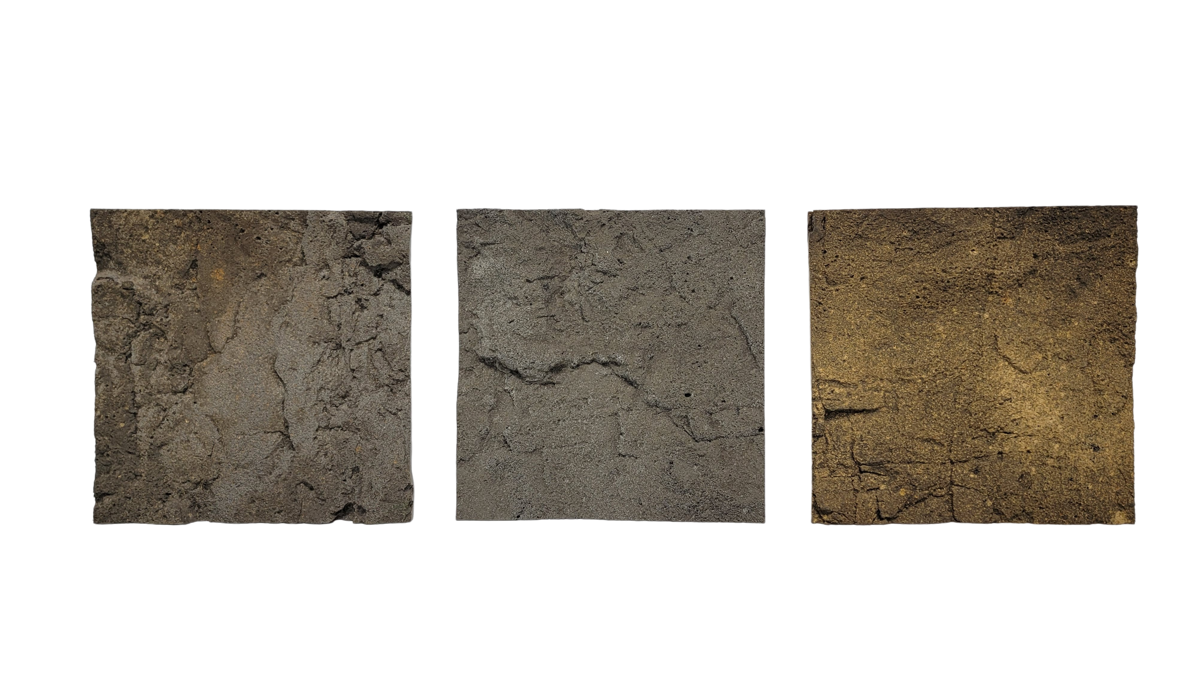 Aquarium and Reptile Background Sample