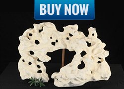  20 decorock holey rock for fish tanks
