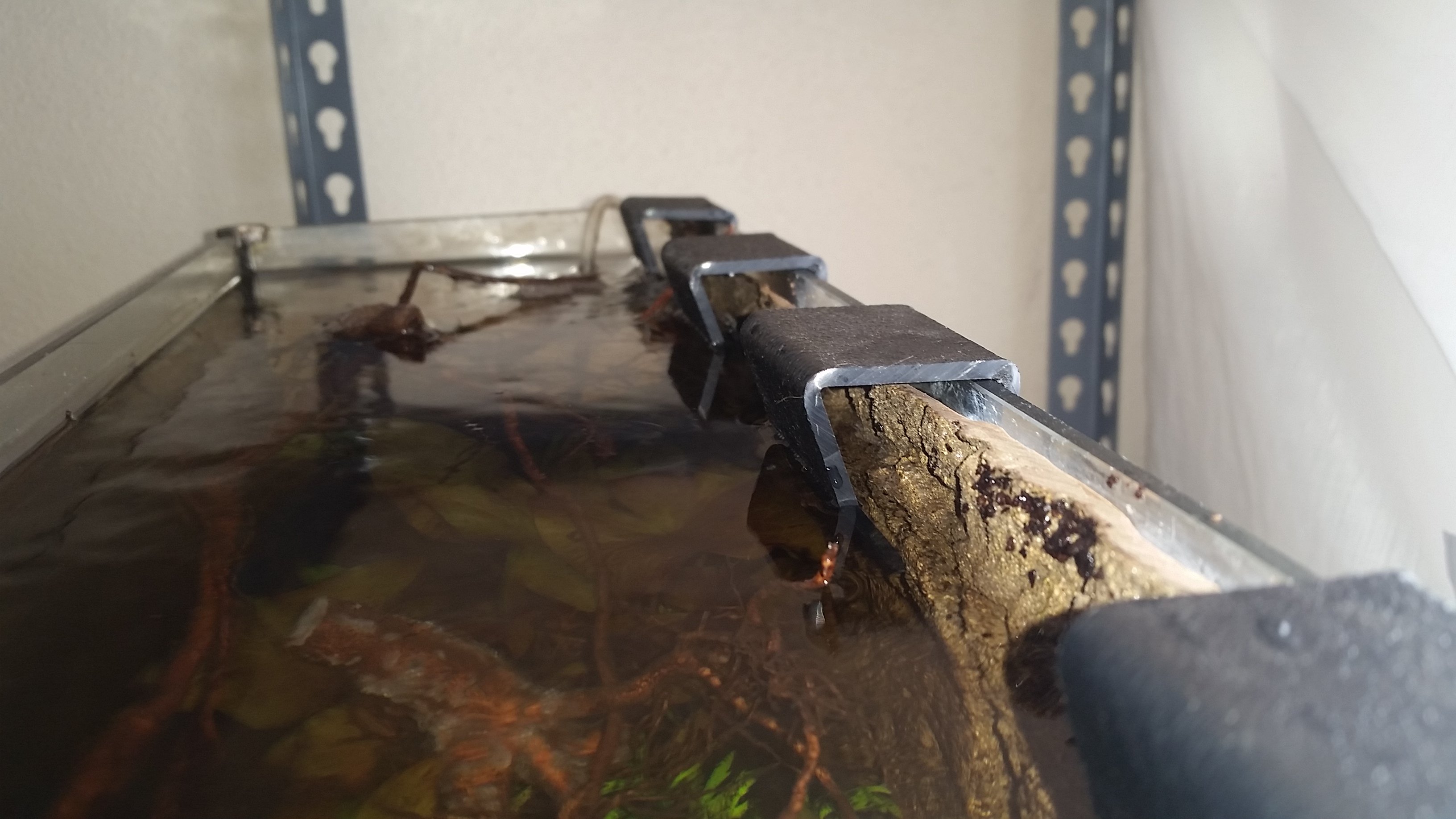 plastic clips on aquarium wall holding faux rock panel