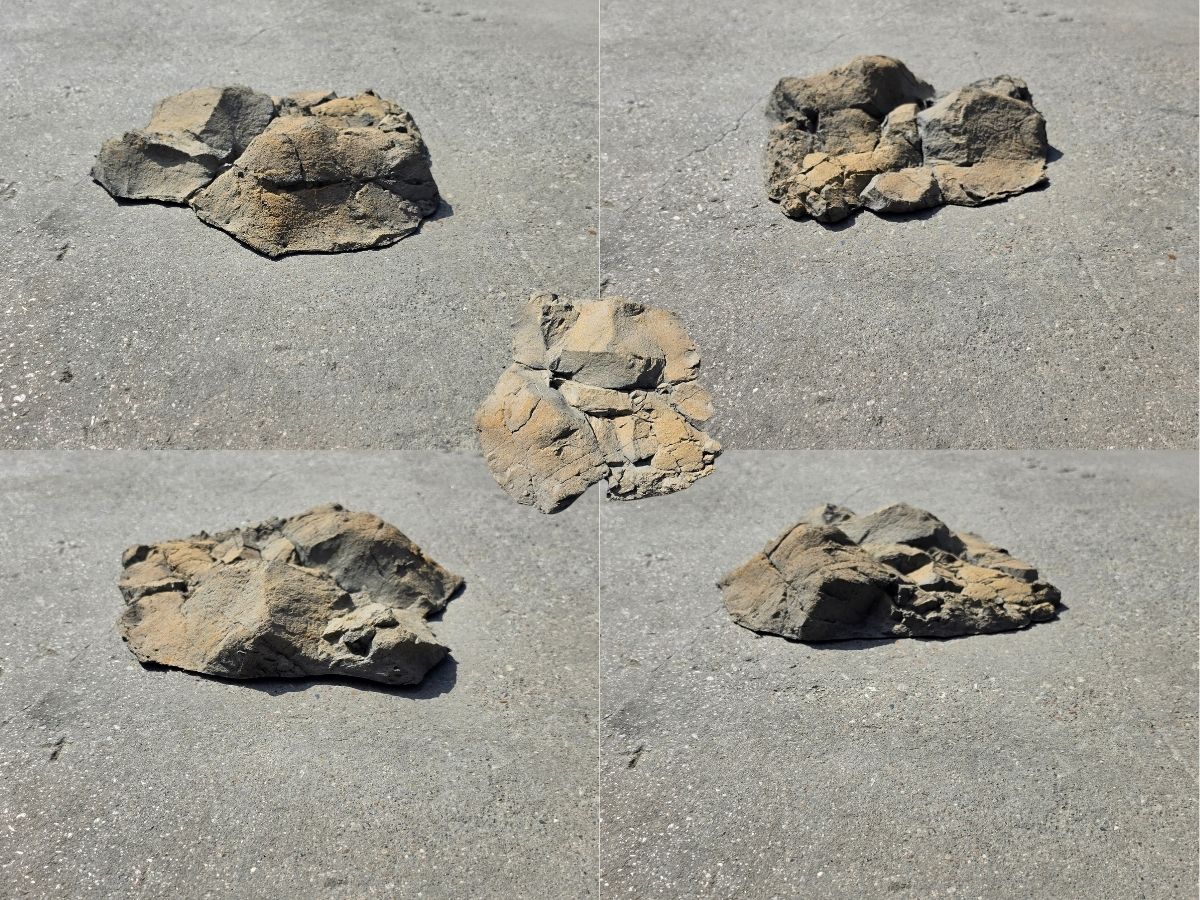 Crawler Course Obstacle #5
