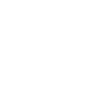 united states outline with flag icon
