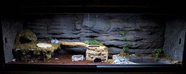 Wilson's Ridge - Custom