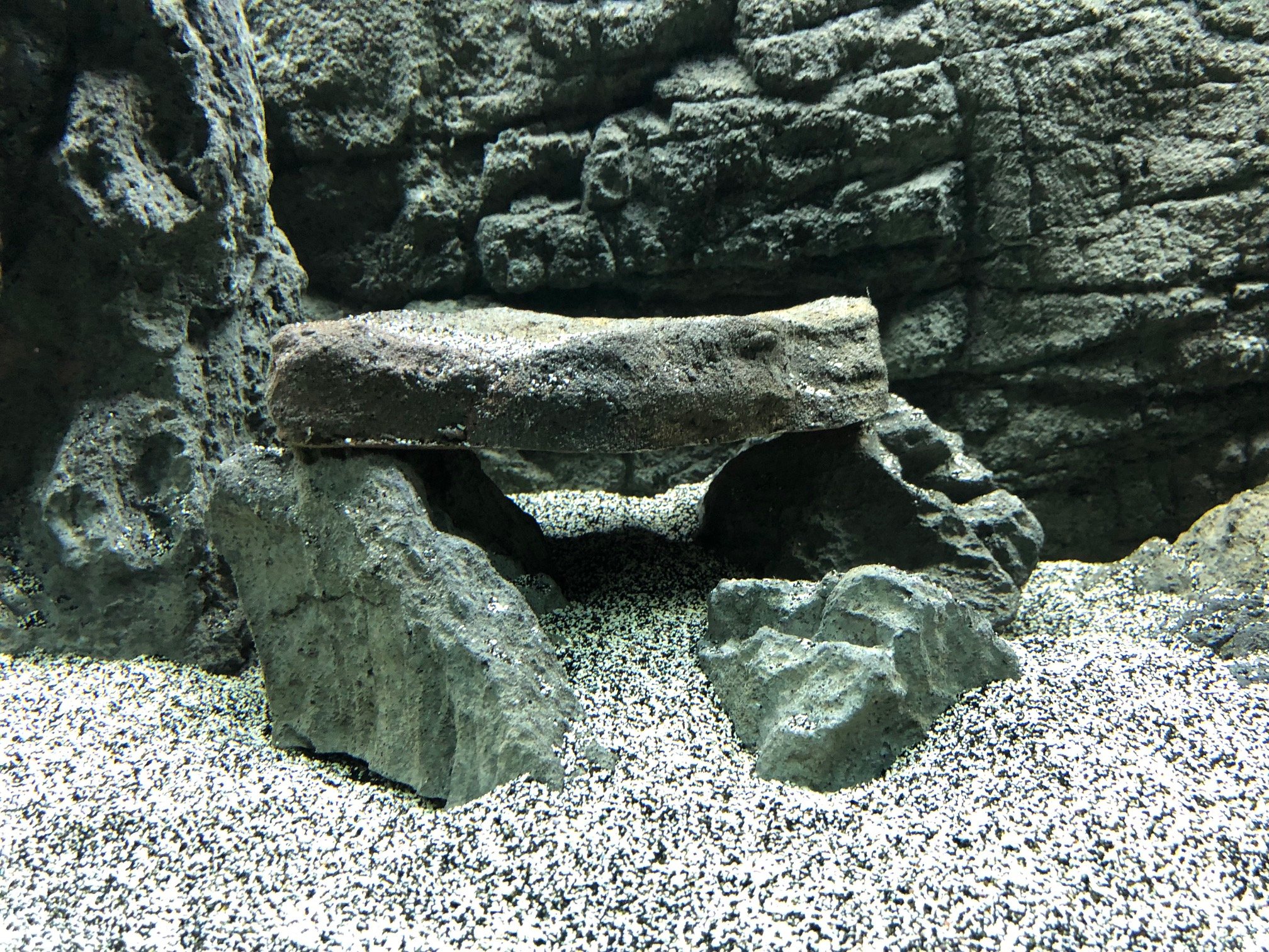 gray faux cave rocks for aquariums or reptile habitats